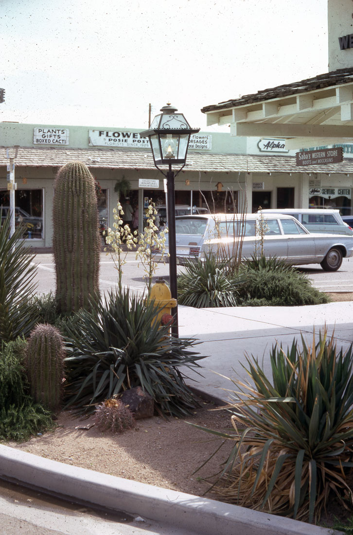 Scottsdale Public Library