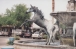 Bronze horse fountain on 5th Avenue in Scottsdale, Arizona