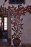 Community Design Studio interior artwork in Scottsdale, Arizona