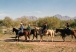 Equestrians on Windgate Trail in the McDowell Sonoran Preserve