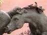 Dedication Ceremony - The Yearlings Sculpture