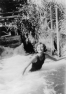 Charlotte Olmstead Brown swimming in Scottsdale, Arizona