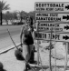 This Way to Scottsdale